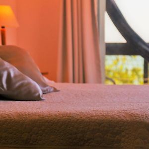 Suite con Cama King